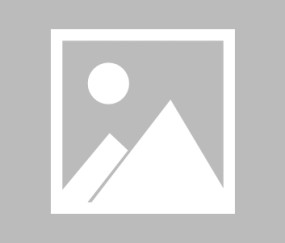 开云体育入口 - Ning新星挺进下一轮表现惊艳，FPX未来可期！